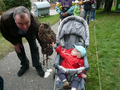 My first encounter with a real owl. 