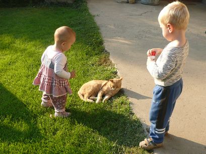 Let's blow bubbles at the cat! 