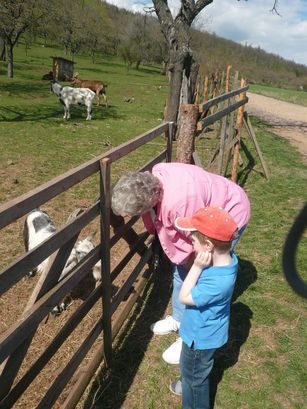 One-sided conversation. The goats did all the talking. 