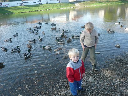 Ducks and boys. 